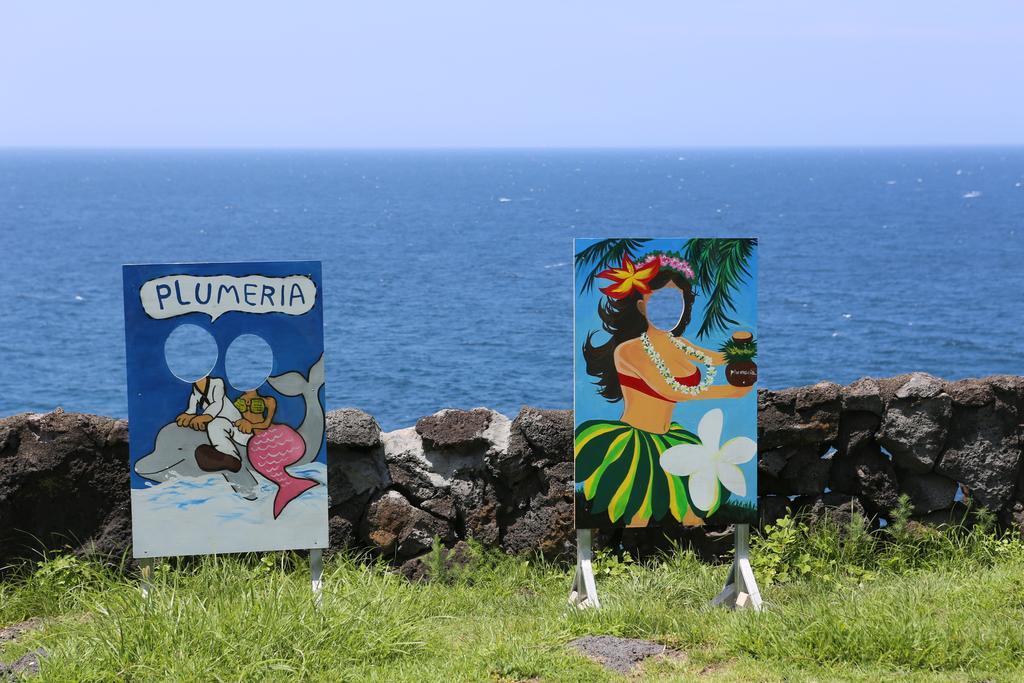 Plumeria Pension Jeju Exterior photo